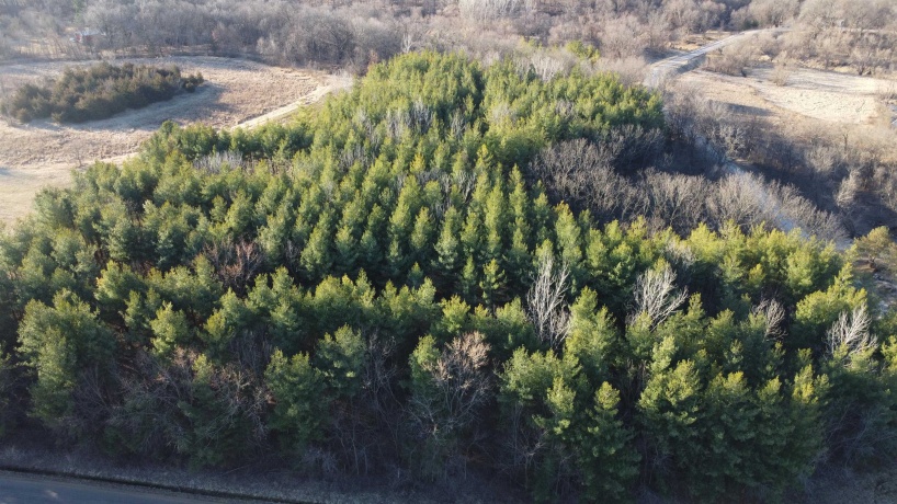 44.78 Acres +/- TBD S. Crazy Hollow, HANOVER, Illinois 61041, ,Land,For Sale,TBD S. Crazy Hollow,202601269