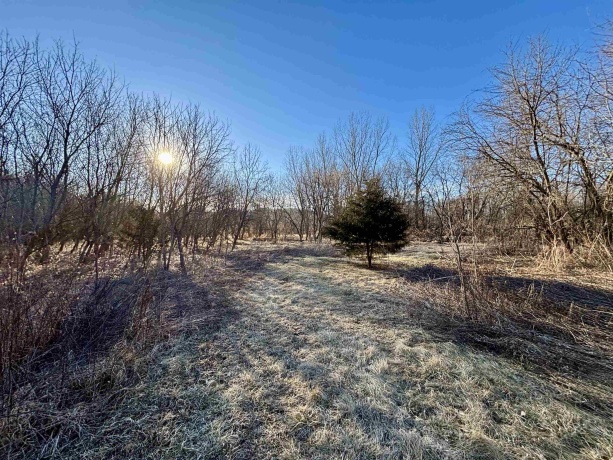44.78 Acres +/- TBD S. Crazy Hollow, HANOVER, Illinois 61041, ,Land,For Sale,TBD S. Crazy Hollow,202601269