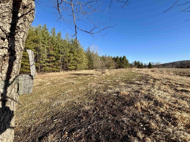 44.78 Acres +/- TBD S. Crazy Hollow, HANOVER, Illinois 61041, ,Land,For Sale,TBD S. Crazy Hollow,202601269