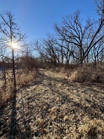 44.78 Acres +/- TBD S. Crazy Hollow, HANOVER, Illinois 61041, ,Land,For Sale,TBD S. Crazy Hollow,202601269