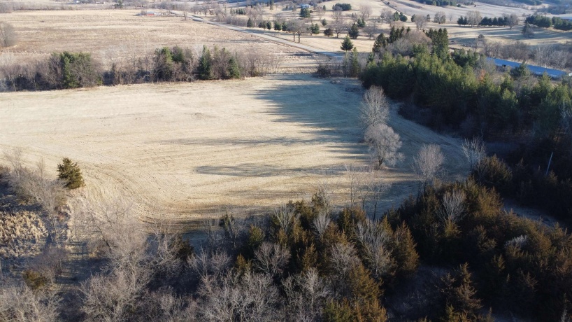 20 Acres +/- TBD S. Crazy Hollow, HANOVER, Illinois 61041, ,Land,For Sale,TBD S. Crazy Hollow,202601271