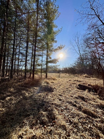 20 Acres +/- TBD S. Crazy Hollow, HANOVER, Illinois 61041, ,Land,For Sale,TBD S. Crazy Hollow,202601271