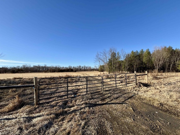 20 Acres +/- TBD S. Crazy Hollow, HANOVER, Illinois 61041, ,Land,For Sale,TBD S. Crazy Hollow,202601271