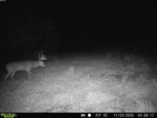 20 Acres +/- TBD S. Crazy Hollow, HANOVER, Illinois 61041, ,Land,For Sale,TBD S. Crazy Hollow,202601271