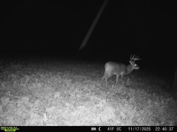 20 Acres +/- TBD S. Crazy Hollow, HANOVER, Illinois 61041, ,Land,For Sale,TBD S. Crazy Hollow,202601271