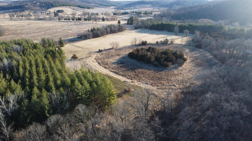 20 Acres +/- TBD S. Crazy Hollow, HANOVER, Illinois 61041, ,Land,For Sale,TBD S. Crazy Hollow,202601271