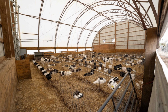 3651 Brookeville, FORRESTON, Illinois 61030, 3 Bedrooms Bedrooms, ,2 BathroomsBathrooms,House,For Sale,Brookeville,202601283