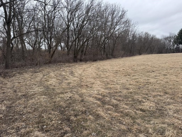 00 Shaw, COMPTON, Illinois 61318, ,Land,For Sale,Shaw,202601299