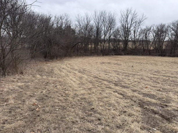 00 Shaw, COMPTON, Illinois 61318, ,Land,For Sale,Shaw,202601299