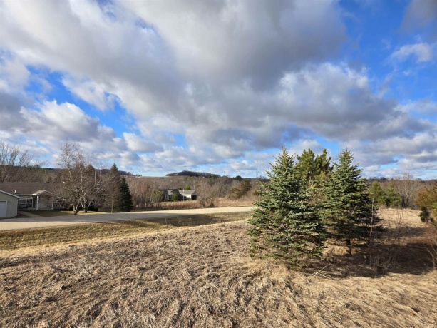 12A68 Washington, APPLE RIVER, Illinois 61001, ,Land,For Sale,Washington,202601318