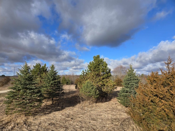 12A68 Washington, APPLE RIVER, Illinois 61001, ,Land,For Sale,Washington,202601318