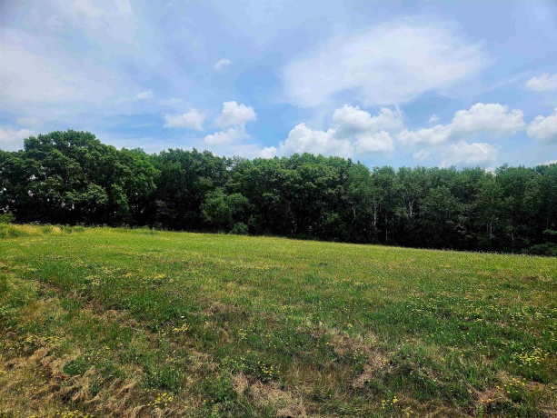 26-2 Lake Carroll, LAKE CARROLL, Illinois 61046, ,Land,For Sale,Lake Carroll,202601327