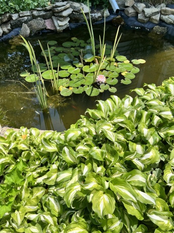 428 Priaire, ROCKTON, Illinois 61072, 4 Bedrooms Bedrooms, ,2 BathroomsBathrooms,House,For Sale,Priaire,202601335