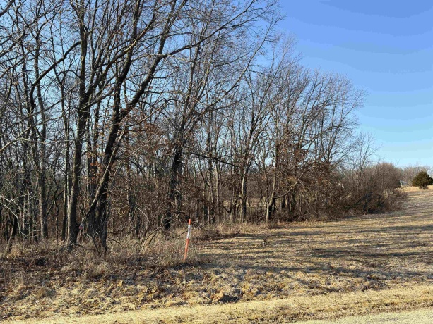 16-84 Canterberry, LAKE CARROLL, Illinois 61046, ,Land,For Sale,Canterberry,202601363