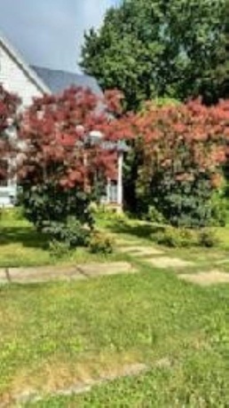 406 Garfield, LEAF RIVER, Illinois 61047, 3 Bedrooms Bedrooms, ,1 BathroomBathrooms,House,For Sale,Garfield,202601373