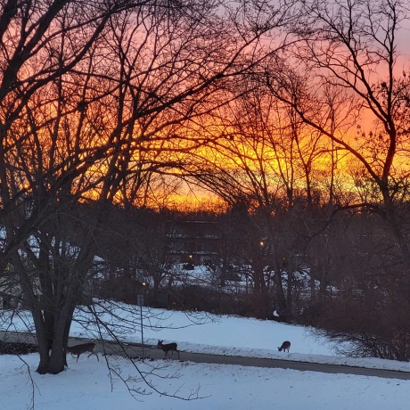 2917 Brookview, FREEPORT, Illinois 61032, 3 Bedrooms Bedrooms, ,2 BathroomsBathrooms,Condominium,For Sale,Brookview,202601390