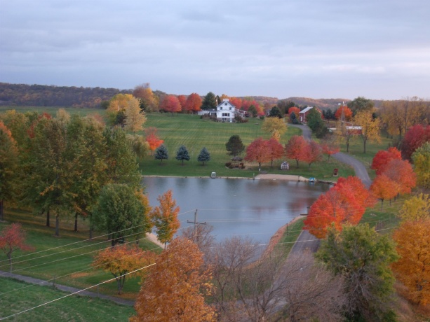 115 Windmill, ELIZABETH, Illinois 61028, 5 Bedrooms Bedrooms, ,3 BathroomsBathrooms,House,For Sale,Windmill,202601388