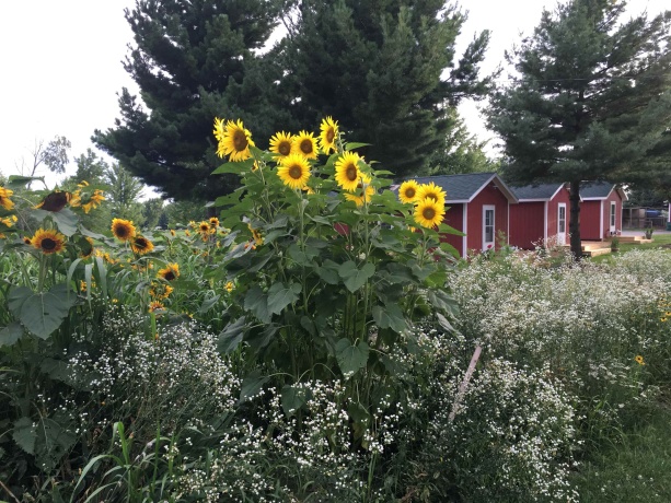 115 Windmill, ELIZABETH, Illinois 61028, 5 Bedrooms Bedrooms, ,3 BathroomsBathrooms,House,For Sale,Windmill,202601388