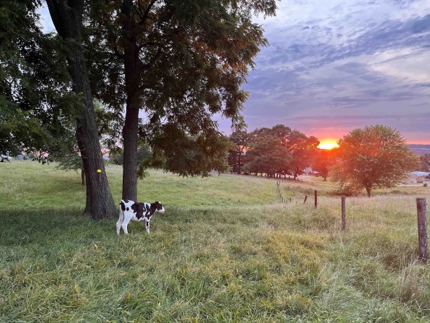 115 Windmill, ELIZABETH, Illinois 61028, 5 Bedrooms Bedrooms, ,3 BathroomsBathrooms,House,For Sale,Windmill,202601388