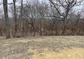 9A36 Pine, APPLE CANYON LAKE, Illinois 61001, ,Land,For Sale,Pine,202601401