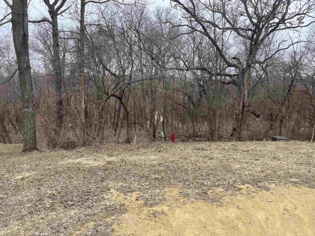 9A36 Pine, APPLE CANYON LAKE, Illinois 61001, ,Land,For Sale,Pine,202601401