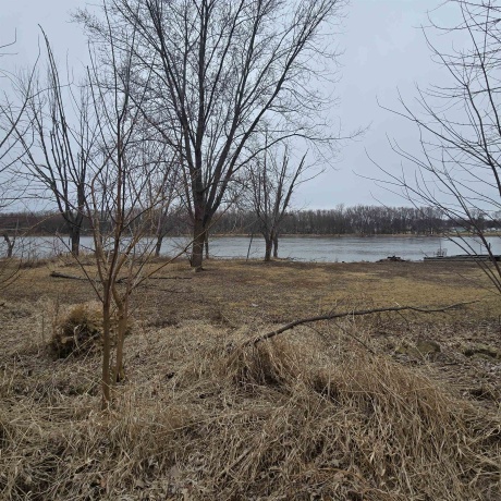 7424 River, BYRON, Illinois 61010, 2 Bedrooms Bedrooms, ,1 BathroomBathrooms,House,For Sale,River,202601408