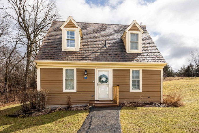 35 Thatcher, GALENA, Illinois 61036, 2 Bedrooms Bedrooms, ,2 BathroomsBathrooms,Condominium,For Sale,Thatcher,202601411