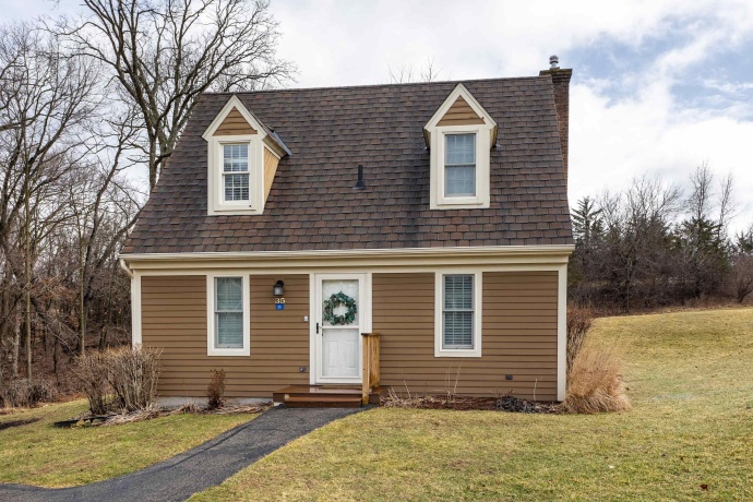 35 Thatcher, GALENA, Illinois 61036, 2 Bedrooms Bedrooms, ,2 BathroomsBathrooms,Condominium,For Sale,Thatcher,202601411