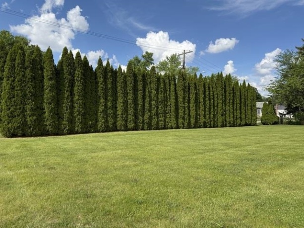 1536 & 1546 La Harpe, LaSalle, Illinois 61301, 2 Bedrooms Bedrooms, ,2 BathroomsBathrooms,House,For Sale,La Harpe,202601414