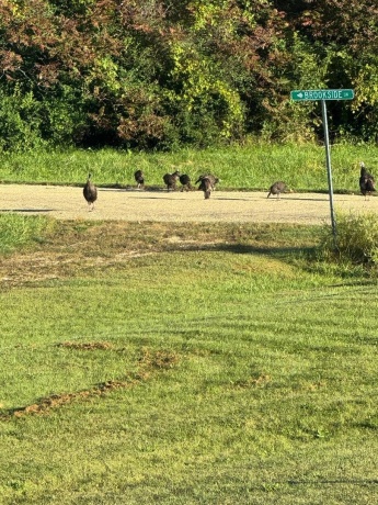 30-45 Brookside, LAKE CARROLL, Illinois 61046, 3 Bedrooms Bedrooms, ,3 BathroomsBathrooms,House,For Sale,Brookside,202601418