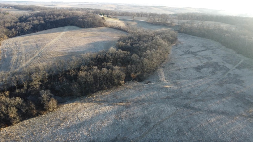 TBD Elmoville, STOCKTON, Illinois 61085, ,Land,For Sale,Elmoville,202601421