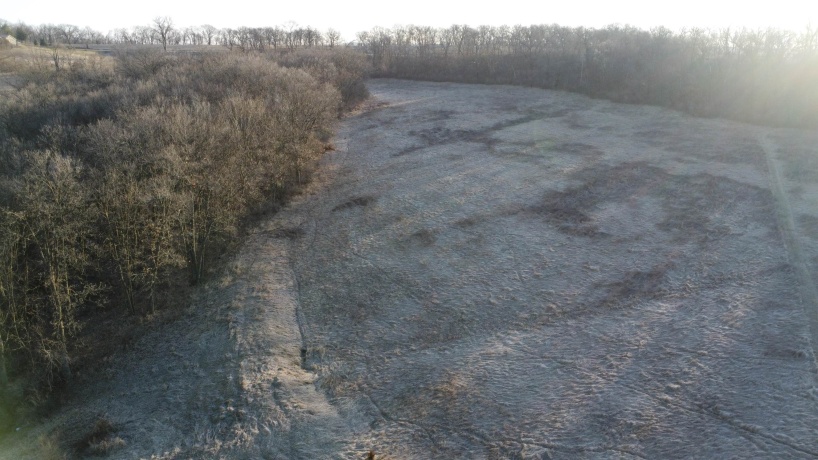 TBD Elmoville, STOCKTON, Illinois 61085, ,Land,For Sale,Elmoville,202601421