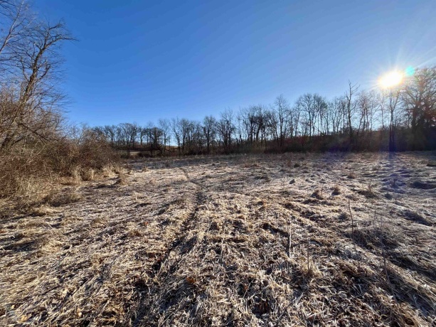 TBD Elmoville, STOCKTON, Illinois 61085, ,Land,For Sale,Elmoville,202601421