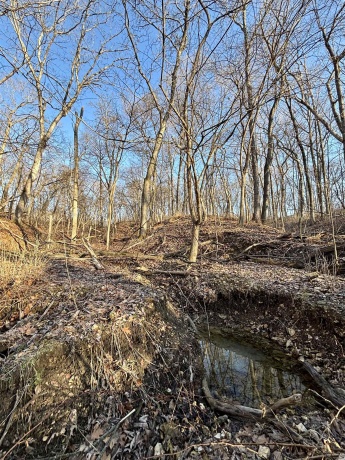 TBD Elmoville, STOCKTON, Illinois 61085, ,Land,For Sale,Elmoville,202601421