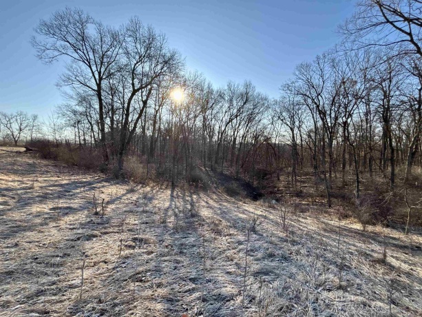 TBD Elmoville, STOCKTON, Illinois 61085, ,Land,For Sale,Elmoville,202601421