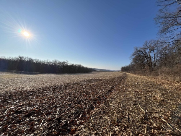 TBD Elmoville, STOCKTON, Illinois 61085, ,Land,For Sale,Elmoville,202601421