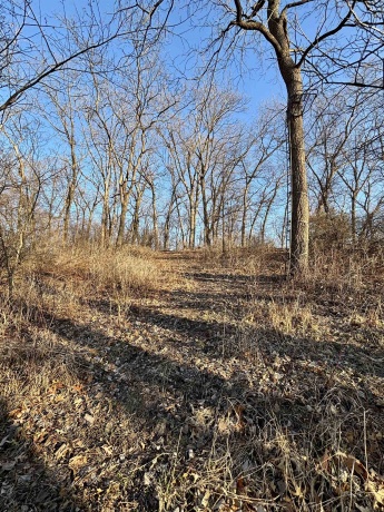 TBD Elmoville, STOCKTON, Illinois 61085, ,Land,For Sale,Elmoville,202601421