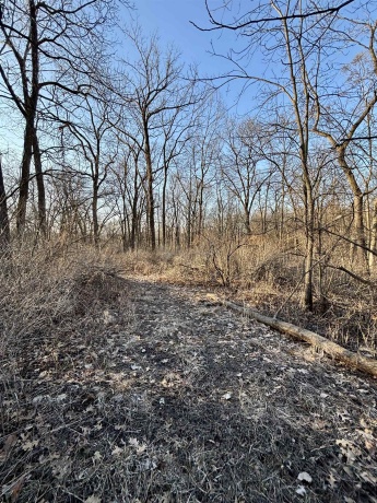 TBD Elmoville, STOCKTON, Illinois 61085, ,Land,For Sale,Elmoville,202601421