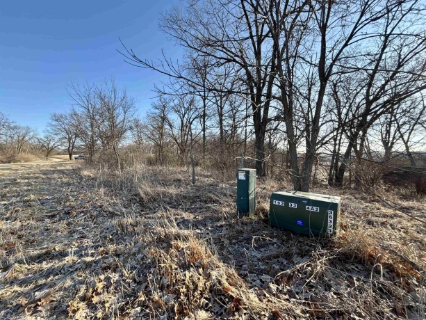 TBD Elmoville, STOCKTON, Illinois 61085, ,Land,For Sale,Elmoville,202601421