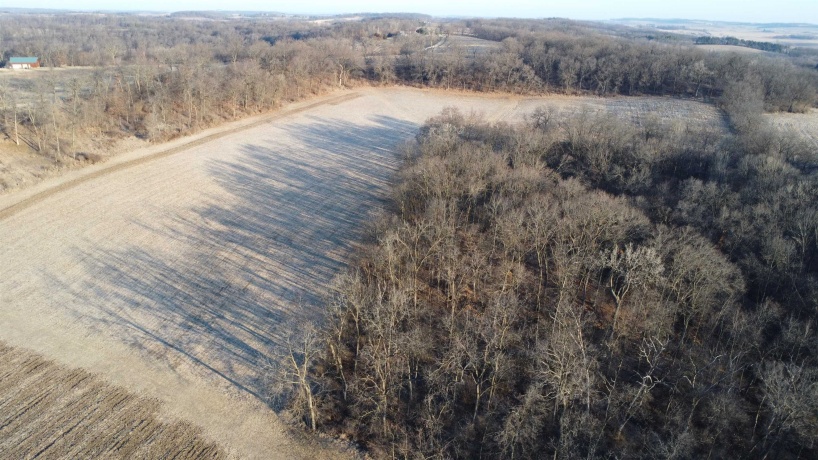 TBD Elmoville, STOCKTON, Illinois 61085, ,Land,For Sale,Elmoville,202601421