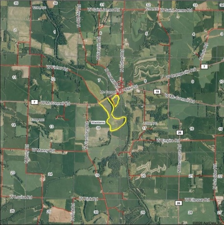TBD McConnell, MCCONNELL, Illinois 61050, ,Land,For Sale,McConnell,202601435