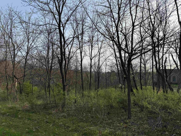 13 Hickory, GALENA, Illinois 61036, ,Land,For Sale,Hickory,202601440