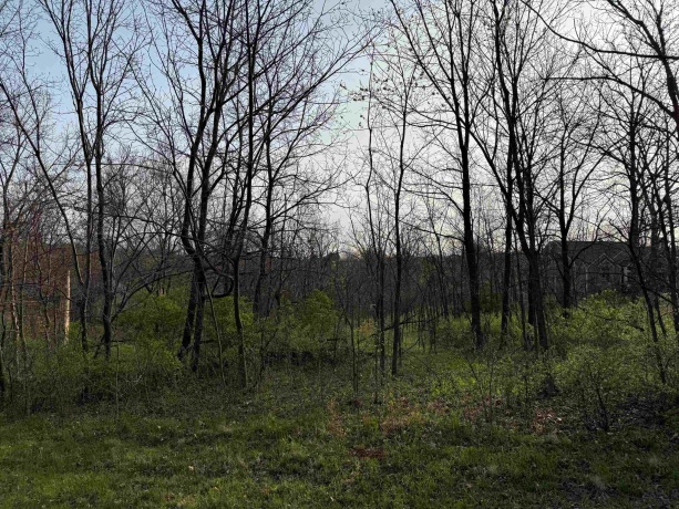 13 Hickory, GALENA, Illinois 61036, ,Land,For Sale,Hickory,202601440