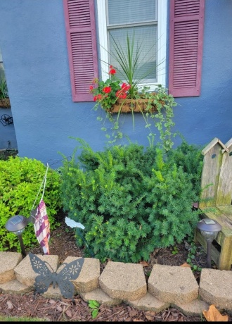 401 Junius, LOVES PARK, Illinois 61111, 3 Bedrooms Bedrooms, ,2 BathroomsBathrooms,House,For Sale,Junius,202601132