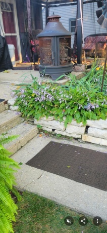 401 Junius, LOVES PARK, Illinois 61111, 3 Bedrooms Bedrooms, ,2 BathroomsBathrooms,House,For Sale,Junius,202601132