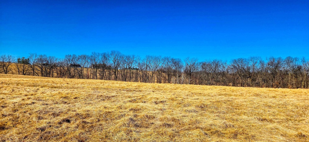 15-3R Lake Carroll, LAKE CARROLL, Illinois 61046, ,Land,For Sale,Lake Carroll,202601482