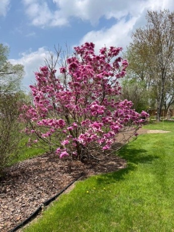 590 Brentwood, MACHESNEY PARK, Illinois 61115, 3 Bedrooms Bedrooms, ,2 BathroomsBathrooms,House,For Sale,Brentwood,202601505