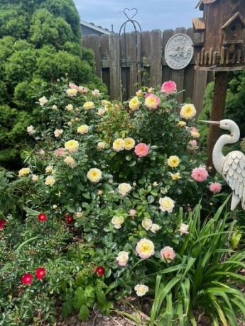 590 Brentwood, MACHESNEY PARK, Illinois 61115, 3 Bedrooms Bedrooms, ,2 BathroomsBathrooms,House,For Sale,Brentwood,202601505