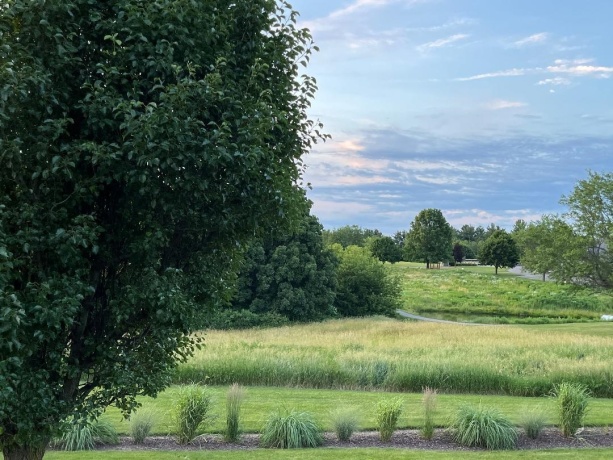 1-11 GRANDVIEW, LAKE CARROLL, Illinois 61046, 4 Bedrooms Bedrooms, ,3 BathroomsBathrooms,House,For Sale,GRANDVIEW,202601506