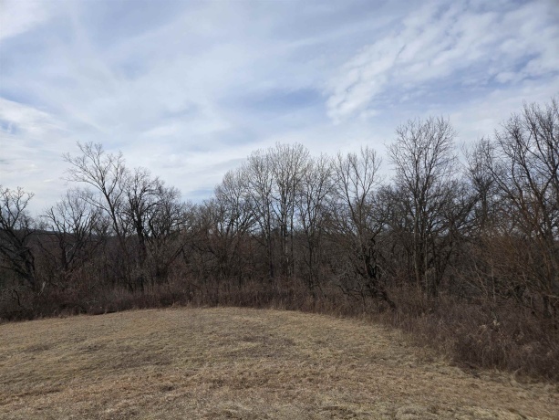 4A34 Stevens, APPLE RIVER, Illinois 61001, ,Land,For Sale,Stevens,202600832